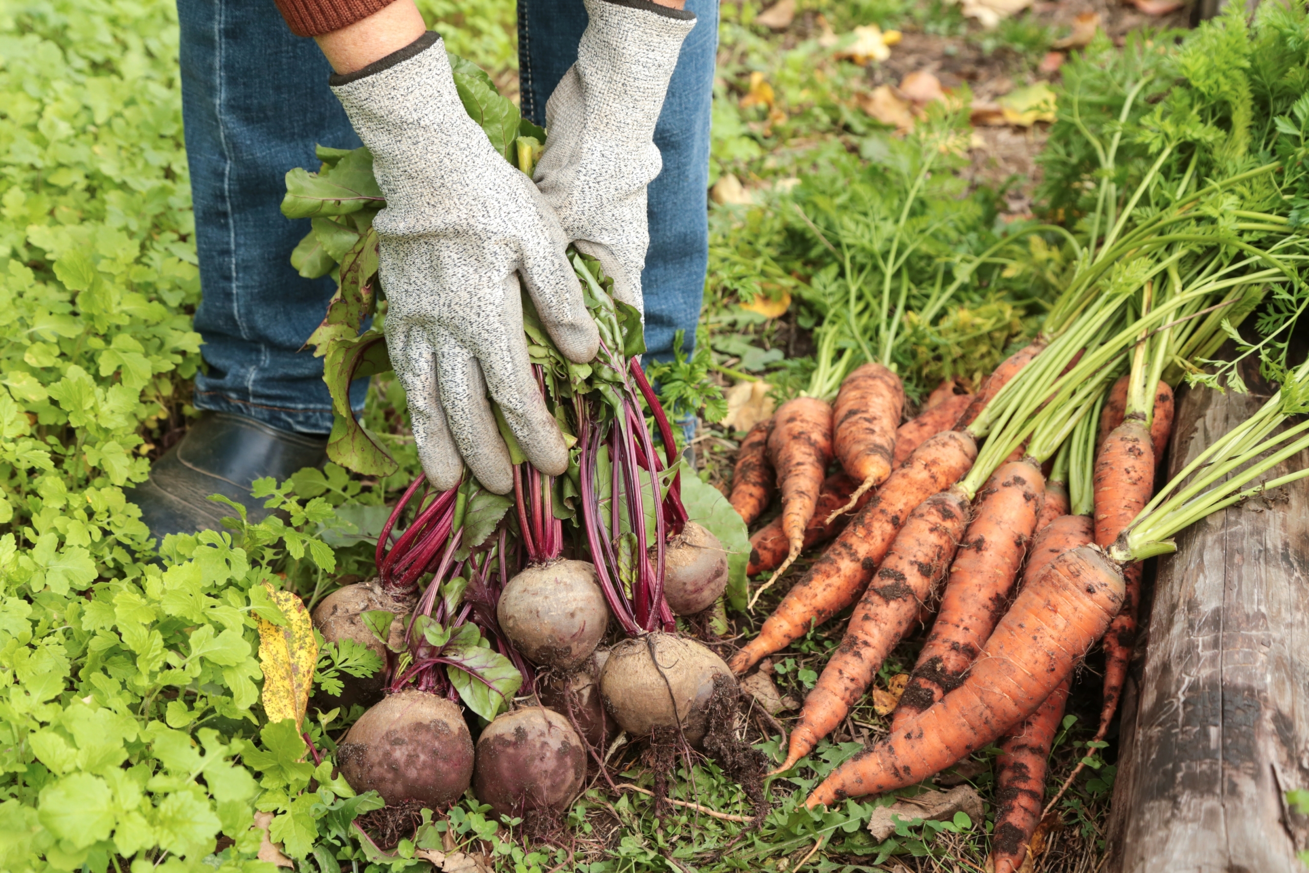 agricultura-guantes-epp