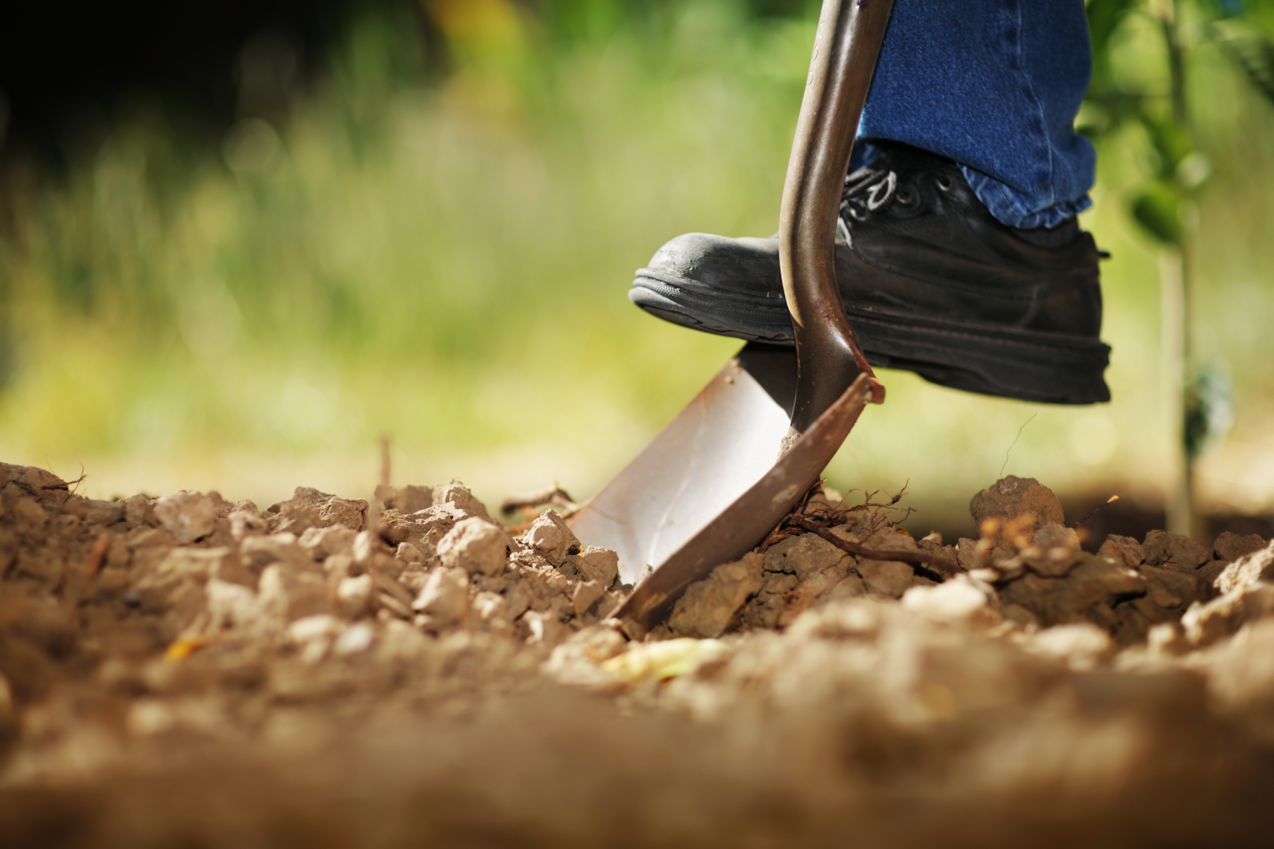 zapatos-agricultura-epp